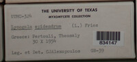 Image Associated With the Occurence